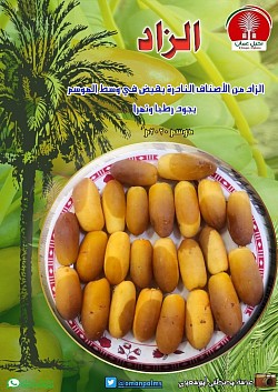 الزاد