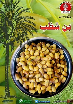 بن شظب